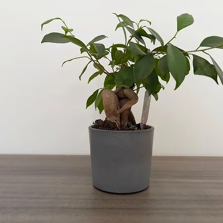 Minimal Centro Wifi Clima By Wehostyou Appartement *